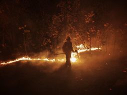 Por incendio en Bosque La Primavera, extienden alerta atmosférica a toda la ZMG