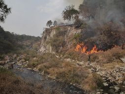 Cinco de los 13 incendios se combatieron dentro de áreas naturales protegidas de La Primavera y la Sierra de Manantlán. TWITTER / @SemadetJal
