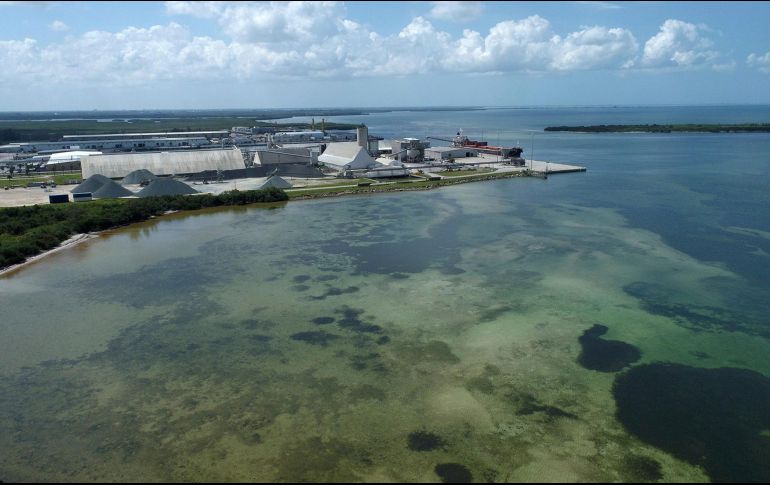 La zona fue declarada en emergencia el sábado pasado por el gobernador de Florida, Ron DeSantis. AP