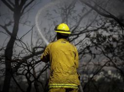 Hasta el momento, sólo se ha reportado la detención de una persona por su probable autoría en uno de los incendios. EL INFORMADOR/ARCHIVO