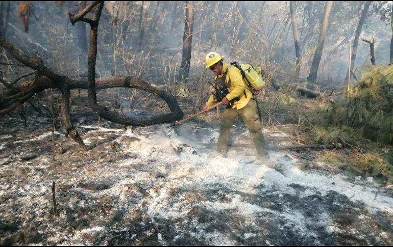 El más reciente, cuya extinción no se ha reportado de manera oficial, es el que más afectación ha dejado en esta parte de la metrópoli. ESPECIAL/BOMBEROS DE ZAPOPAN
