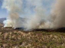 La Secretaría de Medio Ambiente y Desarrollo Territorial (Semadet) informó que en el siniestro trabajan 79 elementos. ESPECIAL / Semadet