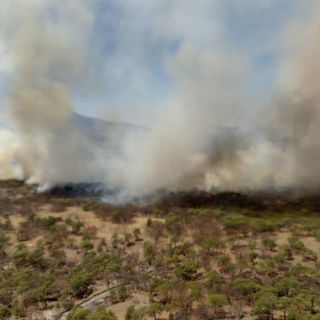 Combaten nuevo incendio en La Primavera