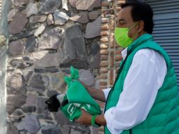 Los gatos fueron trasladados a una clínica veterinaria cercana. ESPECIAL