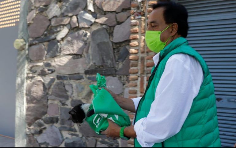 Los gatos fueron trasladados a una clínica veterinaria cercana. ESPECIAL