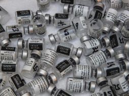 Las dos variantes han sido localizadas en al menos 30 países y en la mayoría de estados de Estados Unidos. EFE/ARCHIVO