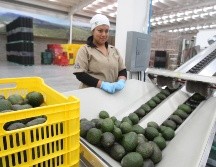La cifra representa 43 mil mujeres menos en el mercado laboral. Por otra parte, los niveles de ingreso de las mujeres también redujeron. EL INFORMADOR / ARCHIVO