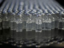 Según el plan de las autoridades, la fase 1 de los ensayos clínicos tendría lugar entre abril y mayo, la fase 2 entre junio y julio, y la fase 3 entre agosto y octubre. AP / ARCHIVO