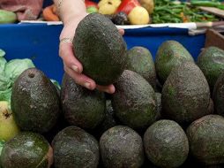En Guadalajara y zona metropolitana se registraron precios al consumidor entre 49.9 y 69.9 pesos por kilo de aguacate. NTX/ARCHIVO