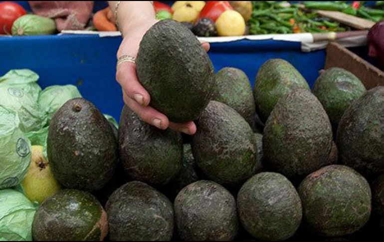 En Guadalajara y zona metropolitana se registraron precios al consumidor entre 49.9 y 69.9 pesos por kilo de aguacate. NTX/ARCHIVO