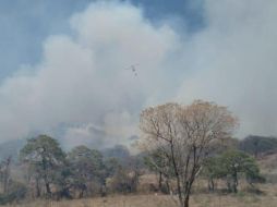 se cuenta con el apoyo aéreo de 3 helicópteros: Tláloc de Zapopan, y Cuauhtli y Witari de Semadet. TWITTER / @SemadetJal