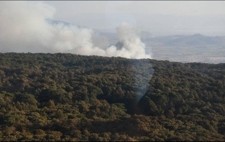 Los accesos al Bosque La Primavera por la Cuchilla hacia Torre Planillas y de Prolongación Mariano Otero, permanecerán cerrados hasta nuevo aviso. TWITTER