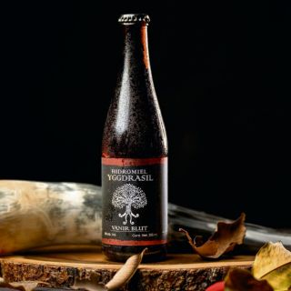 Hidromiel, una bebida de antología