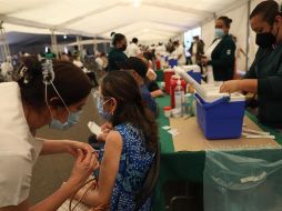 La cepa británica está considerada 