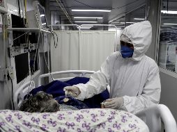 Los científicos sí observaron 