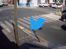 La red social no ha informado las causas de los problemas. TWITTER