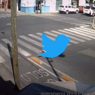 Llueven los memes tras falla global de Twitter