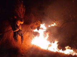 Este fin de semana fueron liquidados incendios que afectaron zonas de varios municipios, como en Tlajomulco. TWITTER@SemadetJal