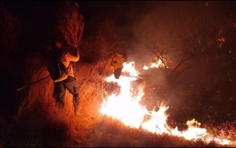Este fin de semana fueron liquidados incendios que afectaron zonas de varios municipios, como en Tlajomulco. TWITTER@SemadetJal