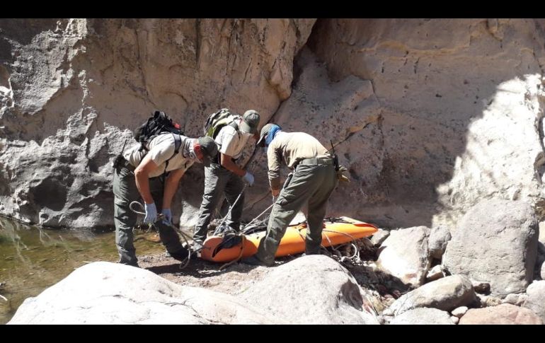 El halazgo ocurre en la comunidad del Platanito en el municipio de San Martín de Bolaños. ESPECIAL / PC Jalisco