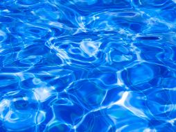 Organiza una albercada en casa. ESPECIAL/Photo por Victor Curty en Unsplash