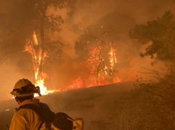 Bomberos de Zapopan se unieron a las labores de combate al incendio. TWITTER@UMPCyBZ