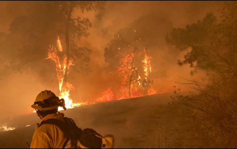 Bomberos de Zapopan se unieron a las labores de combate al incendio. TWITTER@UMPCyBZ