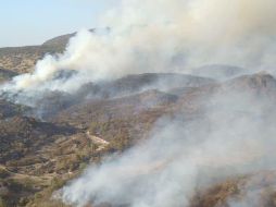 En 23 años, fuego en La Primavera daña más del doble de su extensión