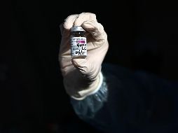Ayer lunes, el gobierno de la Unión Americana informó que comenzará a compartir toda su línea de vacunas de AstraZeneca contra el coronavirus una vez que esta supere las revisiones federales de inocuidad. AFP / ARCHIVO