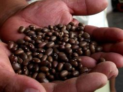 Durante 2020, el frijol fue uno de los productos que más se incrementó en su precio. SUN/ARCHIVO