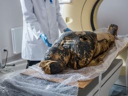 La identidad de la mujer se desconoce y se cree que fue encontrada en las tumbas reales de Tebas, en el Alto Egipto. AFP / A. Leydo