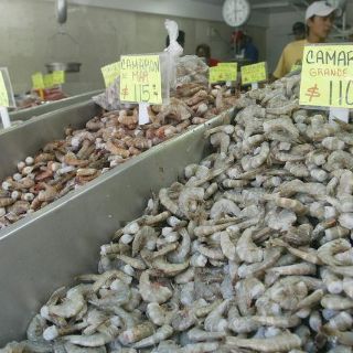 EU suspende certificación del camarón mexicano; ya no se podrá exportar