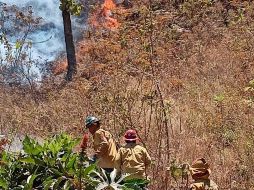 TWITTER / @SemadetJal