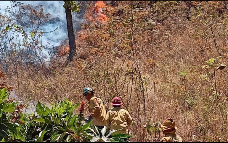 TWITTER / @SemadetJal