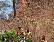 TWITTER / @SemadetJal