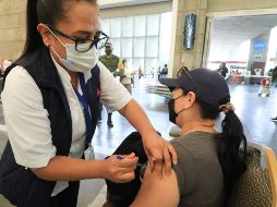 Según lo informador por López-Gatell, un millón 135 mil 367 de trabajadores de la educación han recibido la vacuna y 464 mil 659 en personas entre 50 a 59 años de edad. EFE / L. Ramírez