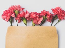 ESPECIAL / Photo by Edward Howell on Unsplash