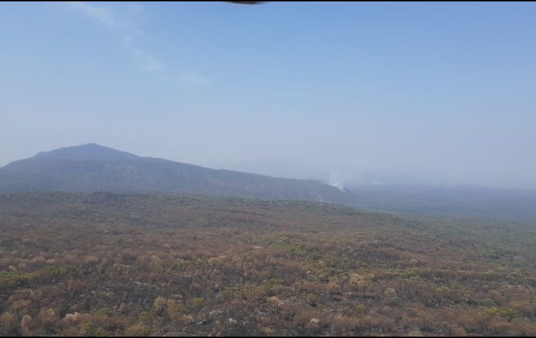 Bomberos de Zapopan mandó tres brigadas además del helicóptero Tláloc para apoyar en las labores. ESPECIAL