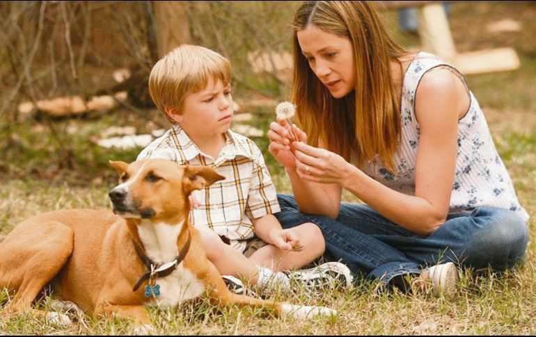 “Todo por mi hijo”. La cinta es protagonizada por Mira Sorvino, a quien vemos en la imagen. ESPECIAL