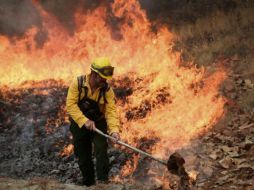 Anoche se reportó que el incendio en La Primavera estaba controlado al 80%. ESPECIAL