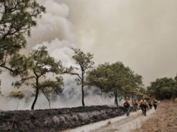 Más de 300 elementos se encuentran combatiendo el incendio en el paraje Ciudad Cajetes, en el Bosque La Primavera. TWITTER / @GobiernoJalisco