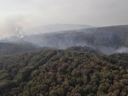 Continúan las labores de liquidación y enfriamiento del incendio forestal en Tala, dentro del Bosque La Primavera. ESPECIAL