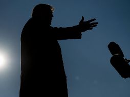 Desde que inició la administración de Donald Trump, las pesquisas se detuvieron. AFP