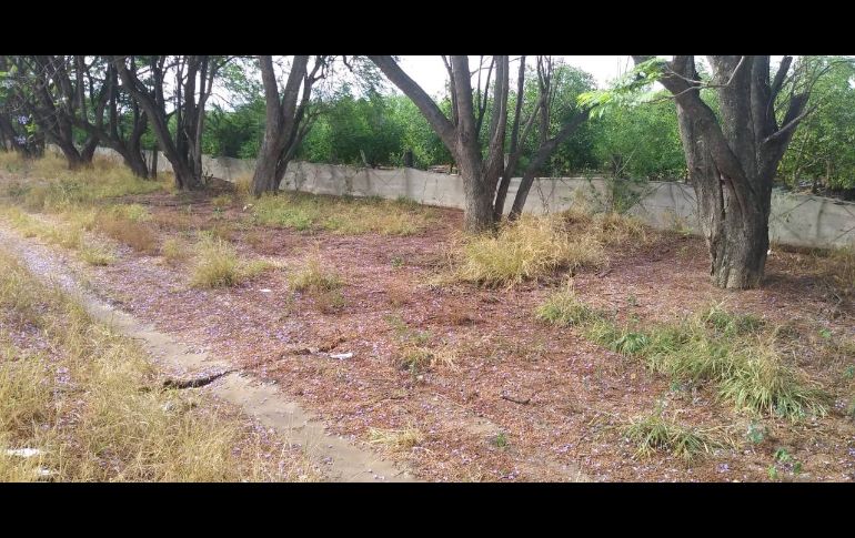 La grieta se ubica en el kilómetro 68 de la Carretera Estatal 401, tramo Ciudad Guzmán - Sayula. ESPECIAL / Protección Civil Jalisco