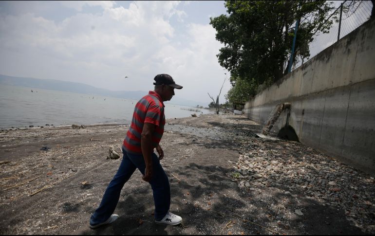 Especialistas señalan que el daño al lago de Chapala está hecho. EL INFORMADOR/F. Atilano