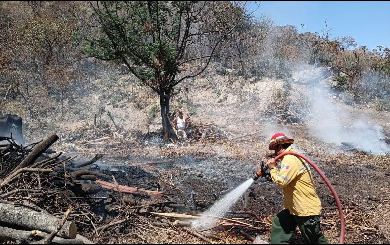 En los incendios trabajan personal de Semadet, Conafor y Protección Civil. TWITTER / @SemadetJal