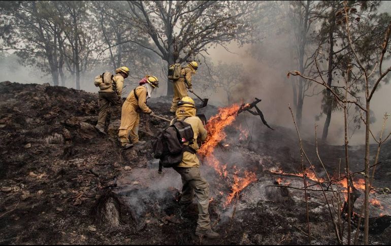 INCENDIOS. El Bosque de la Primavera volvió a incendiarse en dos partes distintas dentro del mismo. TWITTER/@SemadetJal
