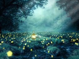 El Santuario de las Luciérnagas. Como cada año, será un espectáculo nocturno que parece salido de un cuento de hadas. PIXABAY