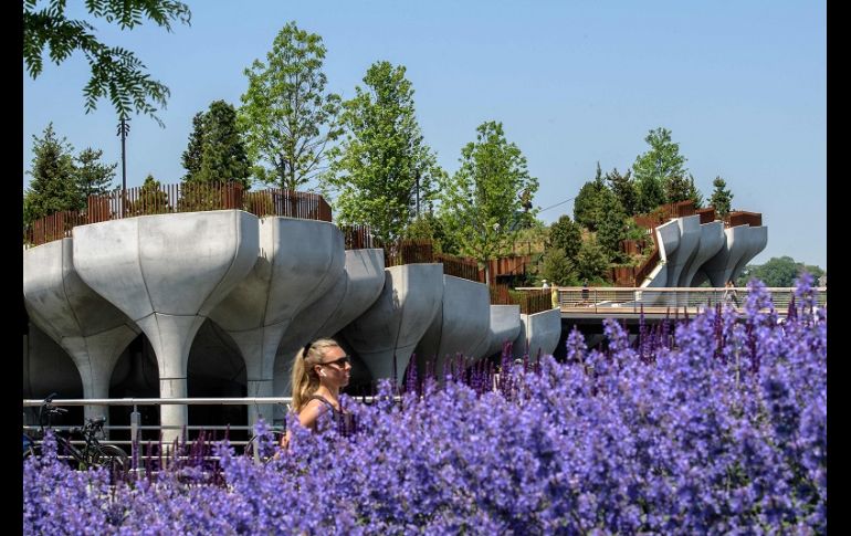 El parque se suma a una serie de muelles nuevos que han surgido en el lado oeste de Manhattan, pero tiene características de diseño que lo distinguen de los demás. AFP/A. Weiss
