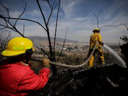 Ayer, el Ayuntamiento de Tlajomulco puso en marcha un operativo de vigilancia las 24 horas en el bosque La Primavera. EL INFORMADOR/Archivo
